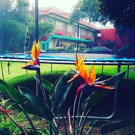 Hotel Las Fumarolas De Don Goyo Cholula Zewnętrze zdjęcie